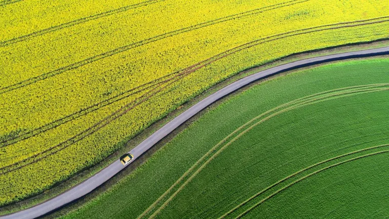 Field with a road