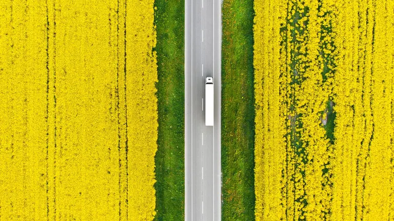 A higway lane in a yellow field