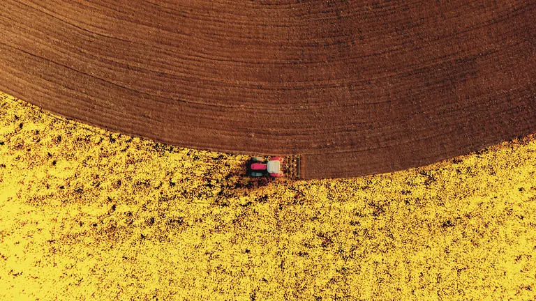 Field with tractor